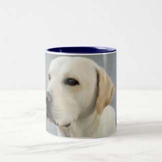 Tasse 2 Couleurs Photographie d'or de labrador retriever
