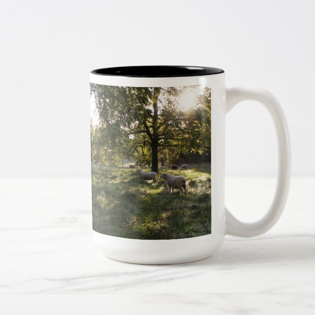 Tasse 2 Couleurs Photographier les moutons (Droit)