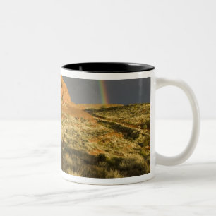 Tasse 2 Couleurs Piste cyclable à Red Cliffs Desert Preserve près d