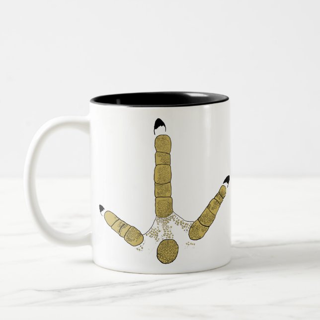 Tasse 2 Couleurs Piste de Turquie sauvage (Gauche)