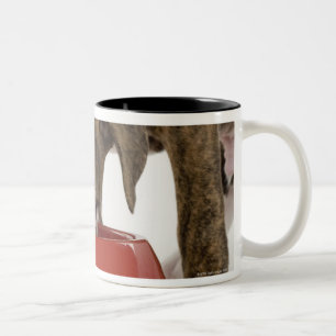 Tasse 2 Couleurs Pitbull de chiot mangeant hors du plat