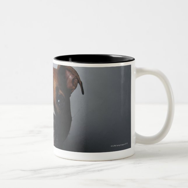 Tasse 2 Couleurs Pitbull Terrier se couchant (Droit)
