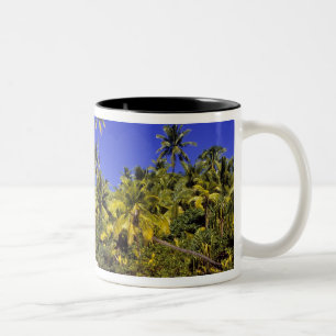 Tasse 2 Couleurs Plage bordée de palmiers Îles Cook 6