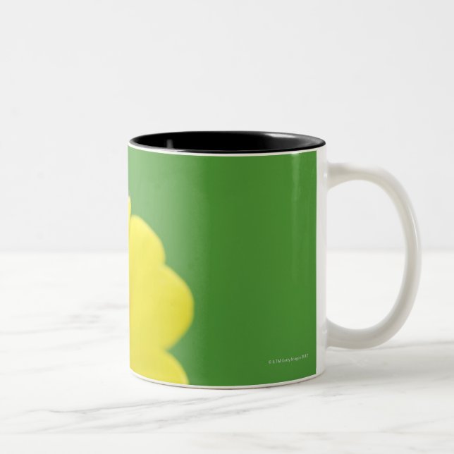 Tasse 2 Couleurs Plan rapproché de coccinelle (Droit)