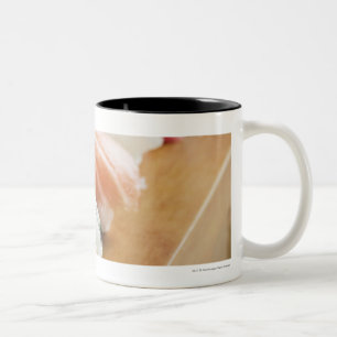 Tasse 2 Couleurs Plan rapproché des sushi sur une table