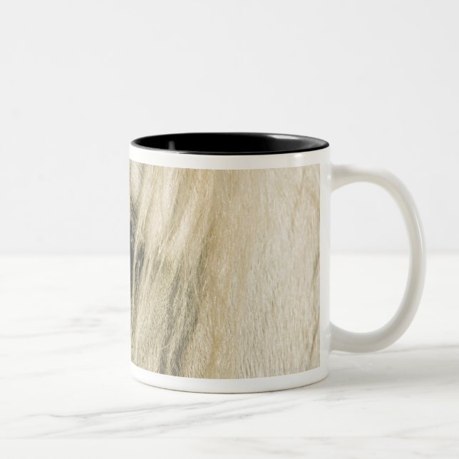 Tasse 2 Couleurs Plan rapproché d'oeil de cheval (Droit)