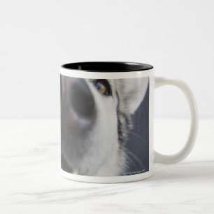 Tasse 2 Couleurs Plan rapproché du nez du chien de traîneau