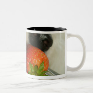 Tasse 2 Couleurs Plan rapproché d'un Bichon Frise mangeant une