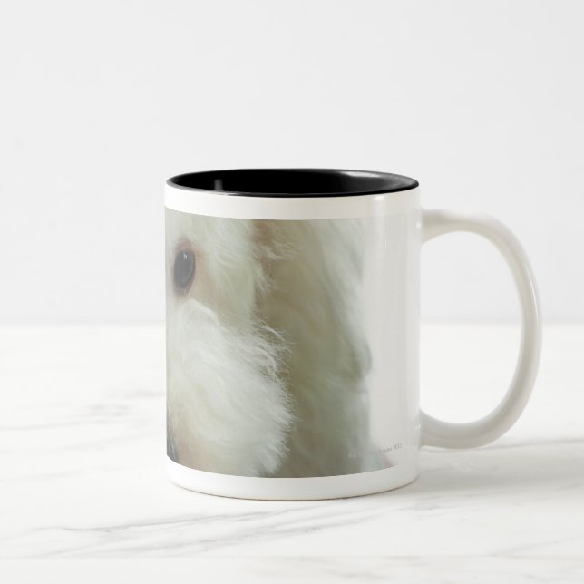 Tasse 2 Couleurs Plan rapproché d'un caniche miniature (Droit)