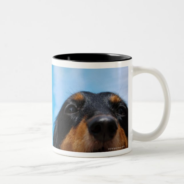 Tasse 2 Couleurs Plan rapproché d'un halètement de chien de teckel (Droit)