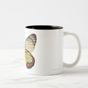 Tasse 2 Couleurs Plan rapproché d'un papillon 3