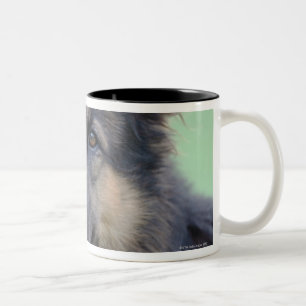 Tasse 2 Couleurs plan rapproché d'un visage de chien