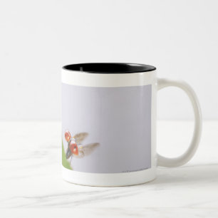 Tasse 2 Couleurs Plan rapproché d'une coccinelle volant au-dessus