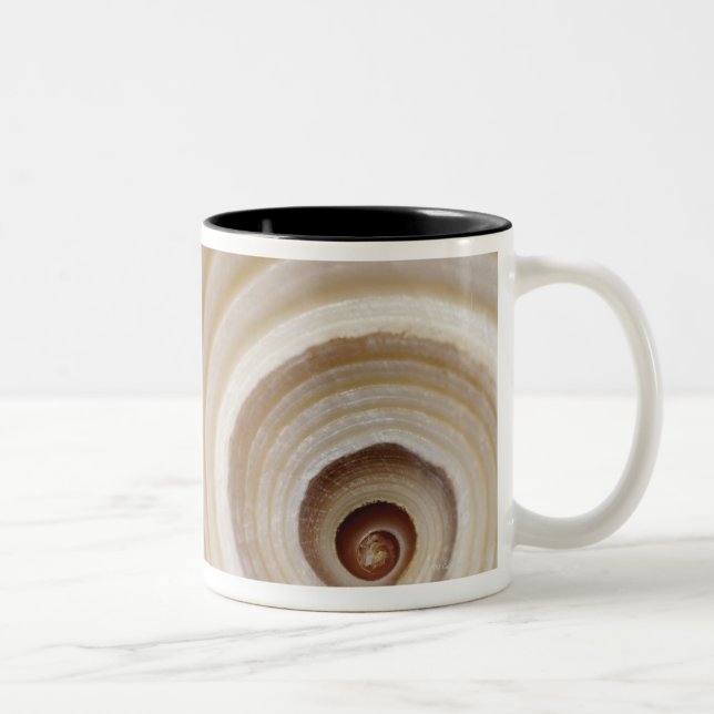 Tasse 2 Couleurs Plan rapproché d'une coquille animale (Droit)