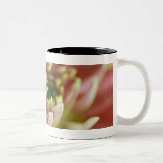 Tasse 2 Couleurs Plan rapproché d'une fleur (Droit)