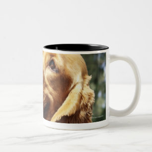Tasse 2 Couleurs Plan rapproché d'une pomme devant un chien