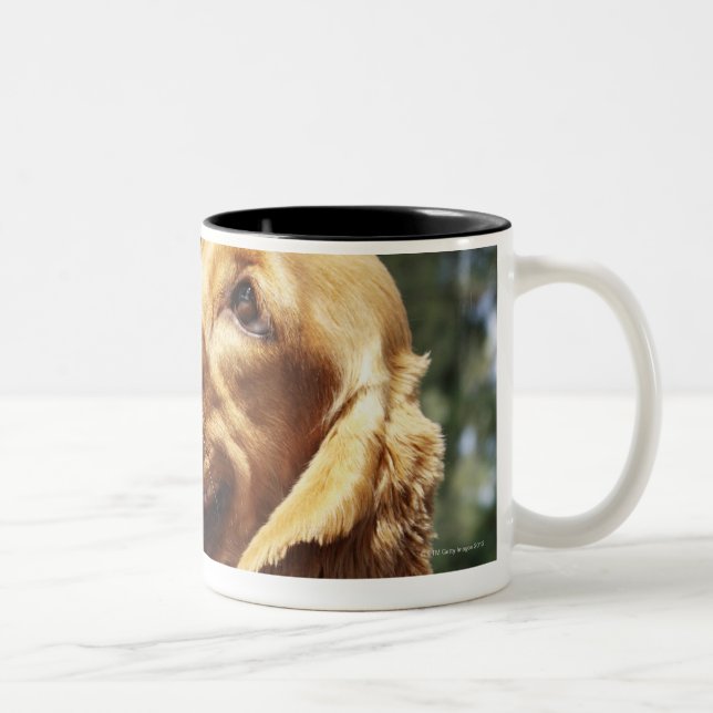Tasse 2 Couleurs Plan rapproché d'une pomme devant un chien (Droit)