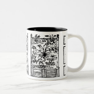 Tasse 2 Couleurs Plantant dans les lits augmentés, 'du Laby du