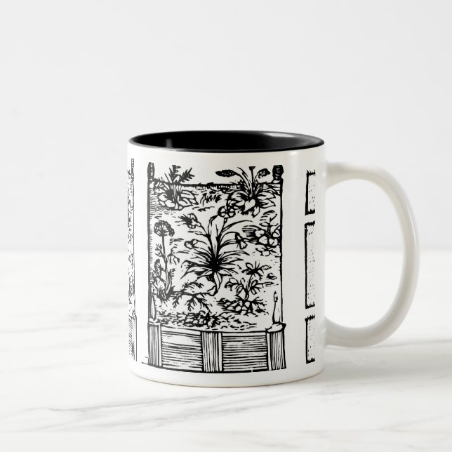 Tasse 2 Couleurs Plantant dans les lits augmentés, 'du Laby du (Droit)