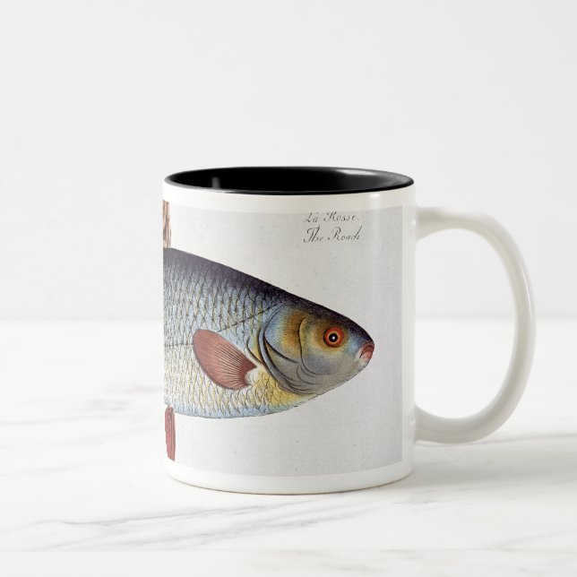 Tasse 2 Couleurs Plat II de gardon (Cyprinus Rutilis) de (Droit)