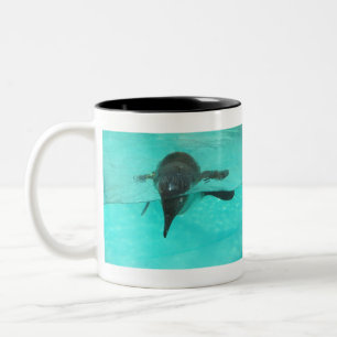 Tasse 2 Couleurs Plongée sous-marine