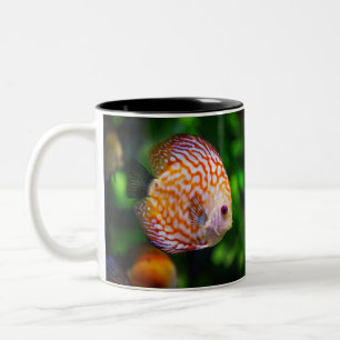 Tasse 2 Couleurs Poisson de Discus