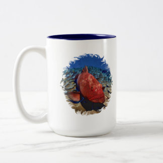 Tasse 2 Couleurs Poisson De Groupement Sur Corail