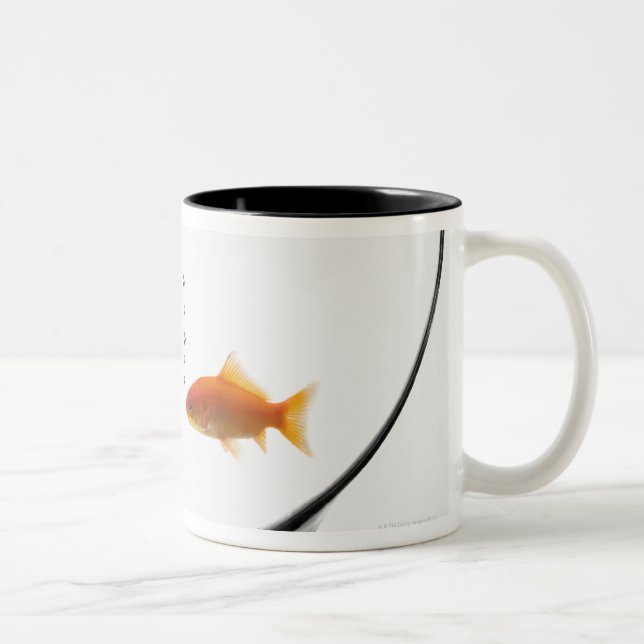 Tasse 2 Couleurs Poisson rouge dans la cuvette (Droit)