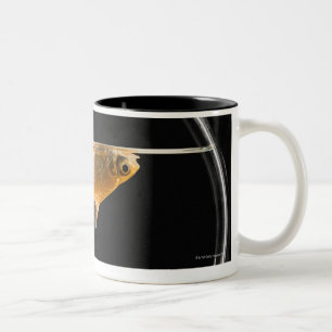 Tasse 2 Couleurs Poisson rouge dans la cuvette 2