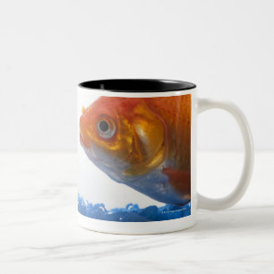 Tasse 2 Couleurs Poisson rouge dans la cuvette sur l'arrière - pla