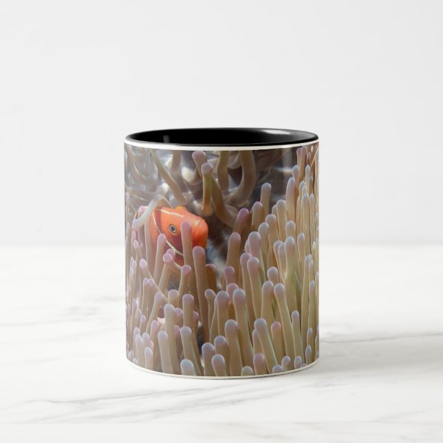 Tasse 2 Couleurs poissons de clown (Centre)
