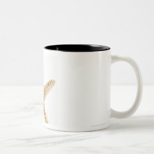 Tasse 2 Couleurs Poissons d'étoile