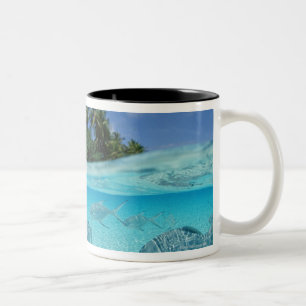 Tasse 2 Couleurs Poissons en mer