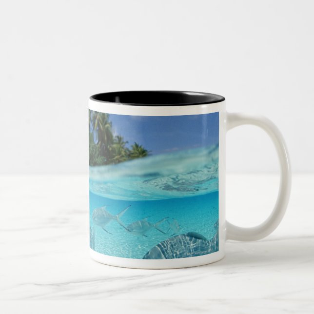 Tasse 2 Couleurs Poissons en mer (Droit)