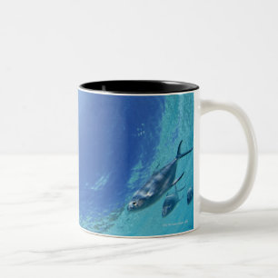 Tasse 2 Couleurs Poissons en mer