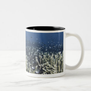 Tasse 2 Couleurs Poissons nageant au-dessus du récif mort
