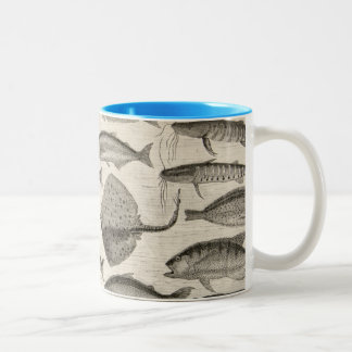 Tasse 2 Couleurs Poissons scientifiques vintages nageant des