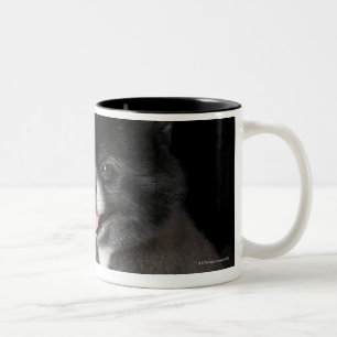 Tasse 2 Couleurs Pomeranian noir regardant vers la gauche