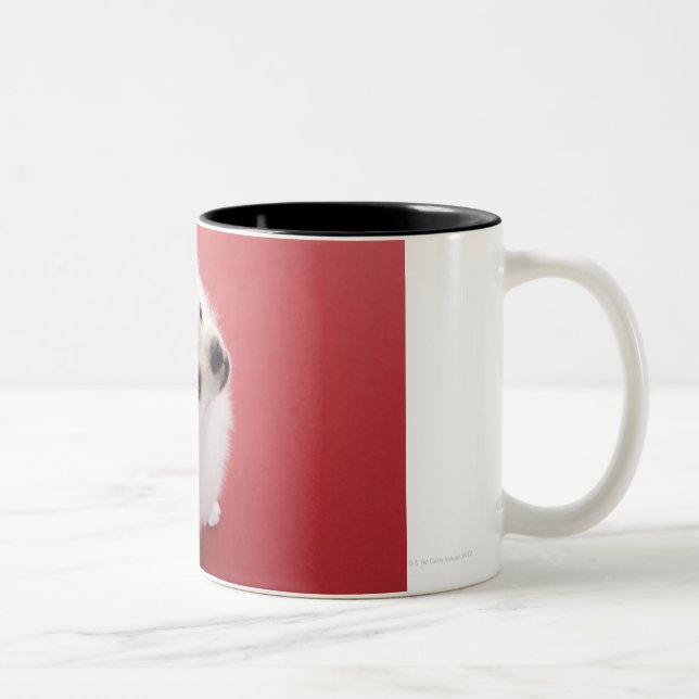 Tasse 2 Couleurs Pomeranian sur le tapis rouge (Droit)