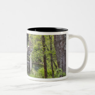 Tasse 2 Couleurs Pont couvert McKee, Jacksonville, Oregon