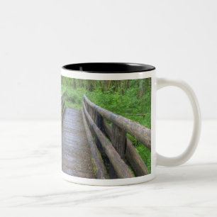 Tasse 2 Couleurs pont en bois du sentier Maple Glade, fougères et
