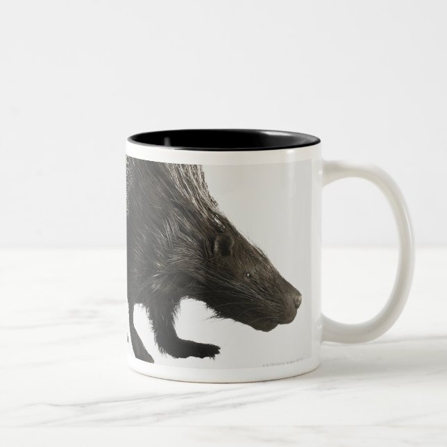 Tasse 2 Couleurs Porc-épic (Droit)