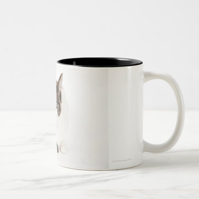 Tasse 2 Couleurs Portrait de chat de calicot (Droit)