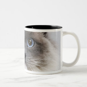 Tasse 2 Couleurs Portrait de chat de Ragdoll