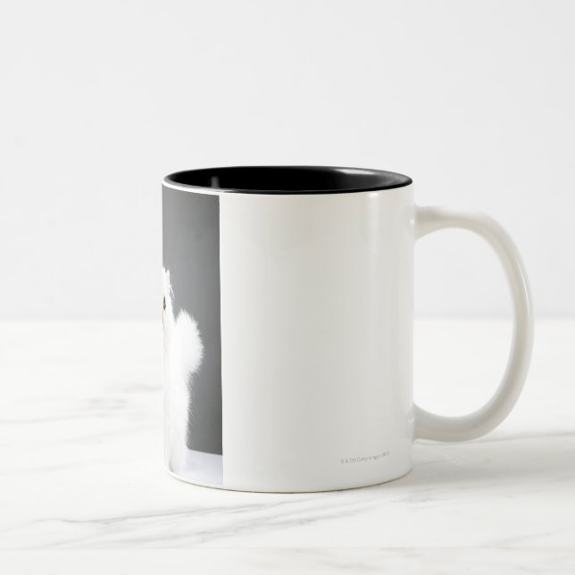 Tasse 2 Couleurs Portrait de chaton (Droit)