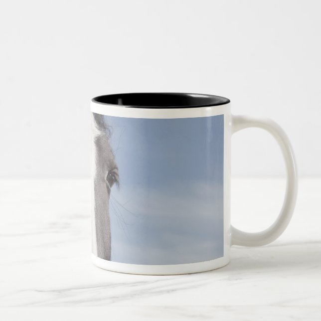 Tasse 2 Couleurs Portrait de cheval de Clydesdale (Droit)