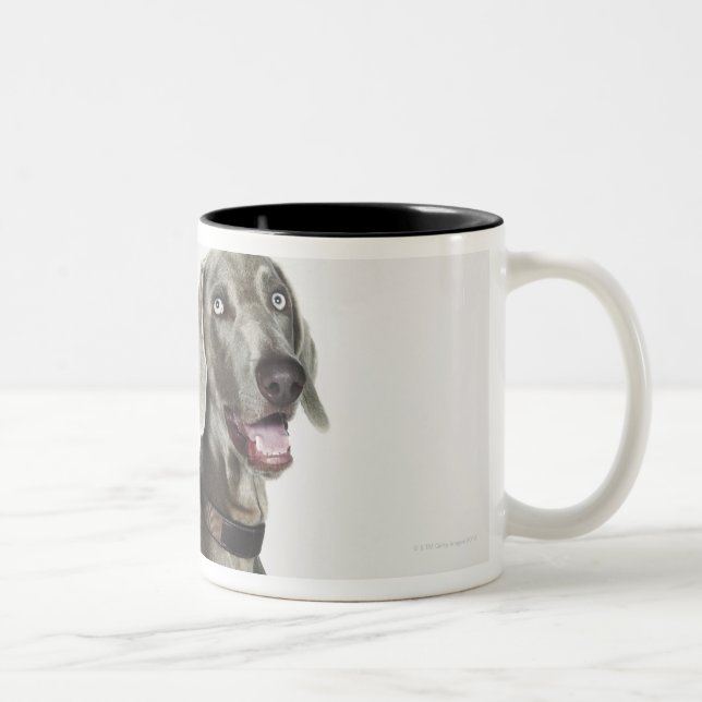 Tasse 2 Couleurs Portrait de chien de Weimaraner (Droit)