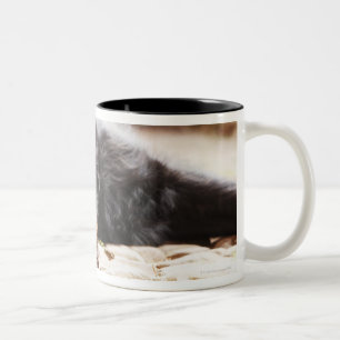 Tasse 2 Couleurs portrait de chien noir se situant dans la cour