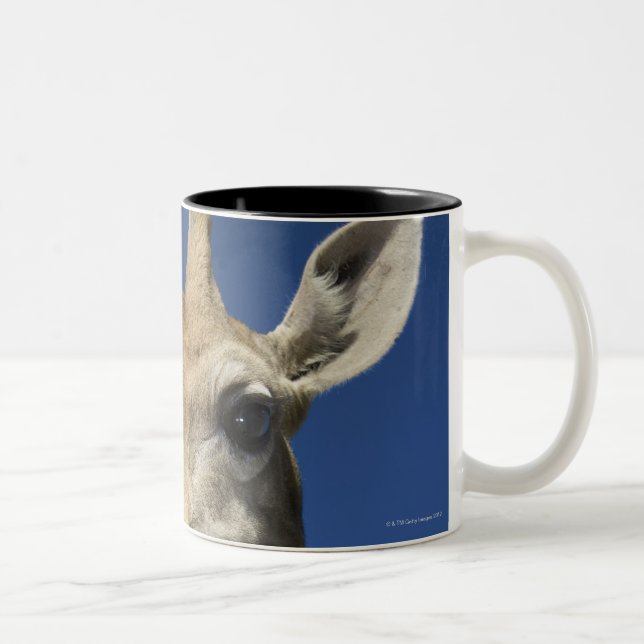 Tasse 2 Couleurs Portrait de girafe (Giraffa Camelopardalis) 2 (Droit)