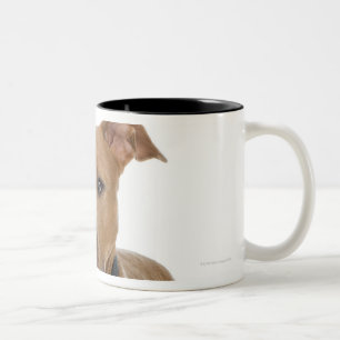 Tasse 2 Couleurs Portrait de studio de chiot américain de pitbull